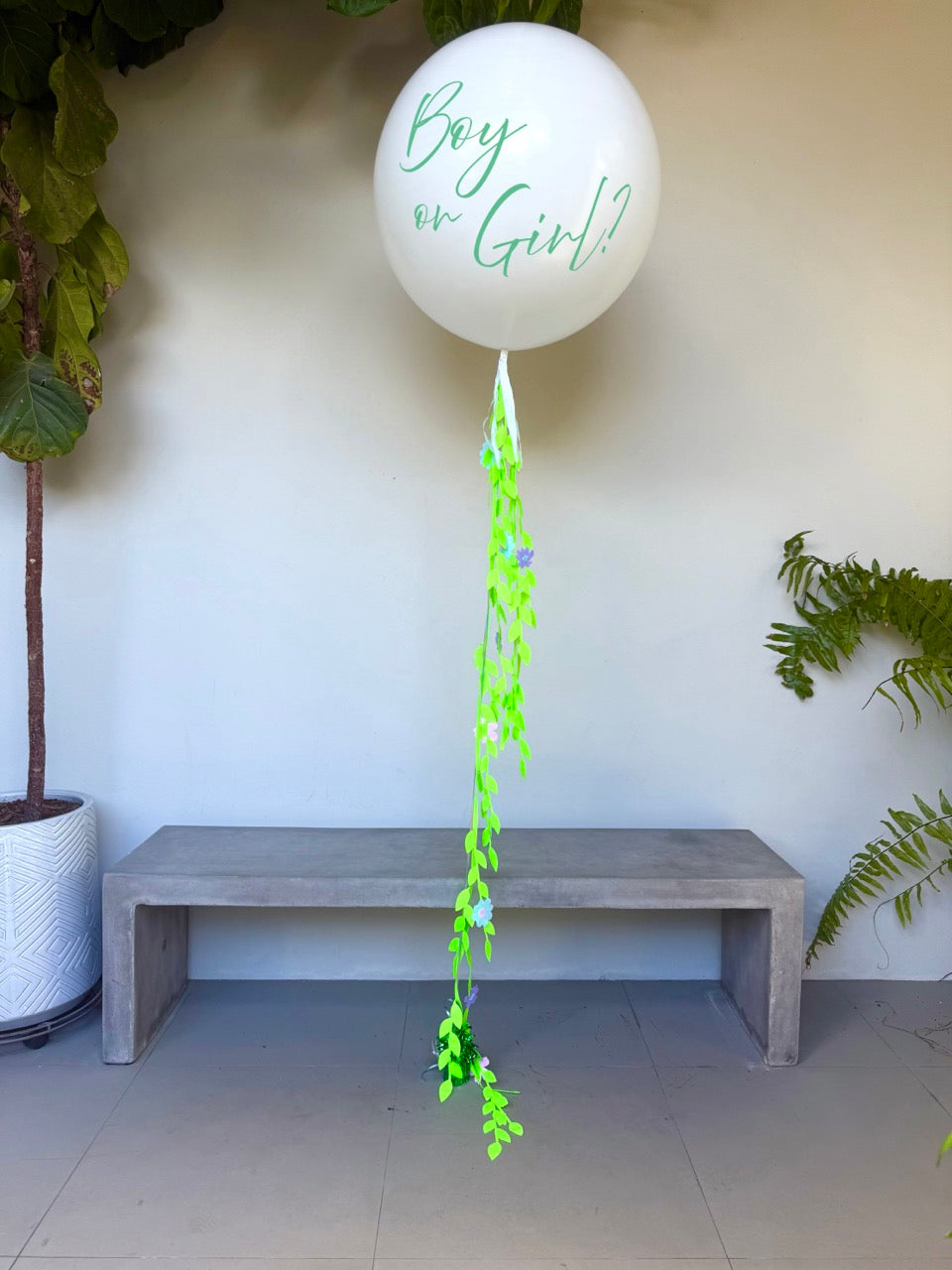 Gender Reveal Balloons