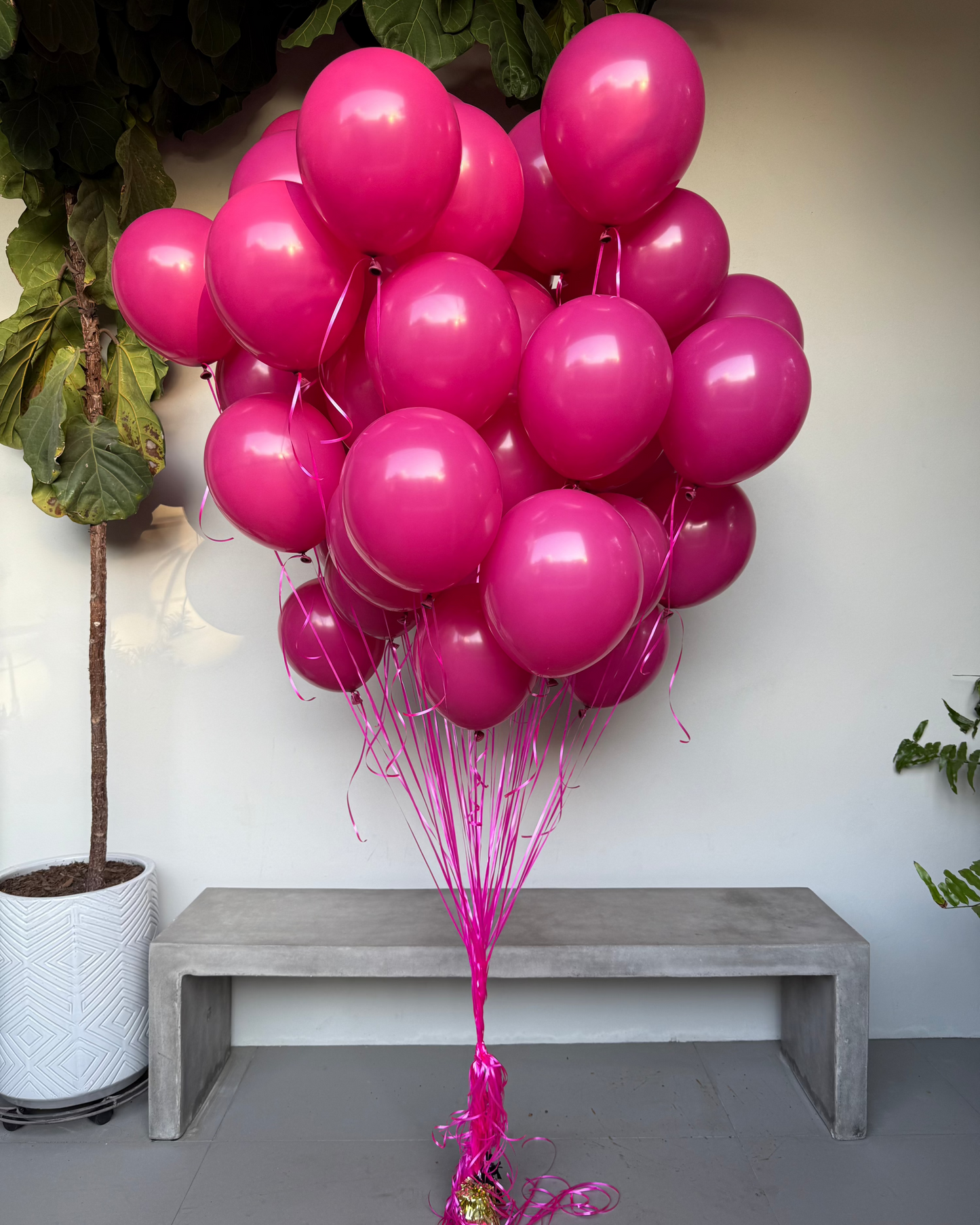 50 Helium Balloons